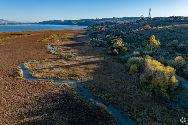 Take in the serene surroundings at Benicia State Recreation Area.