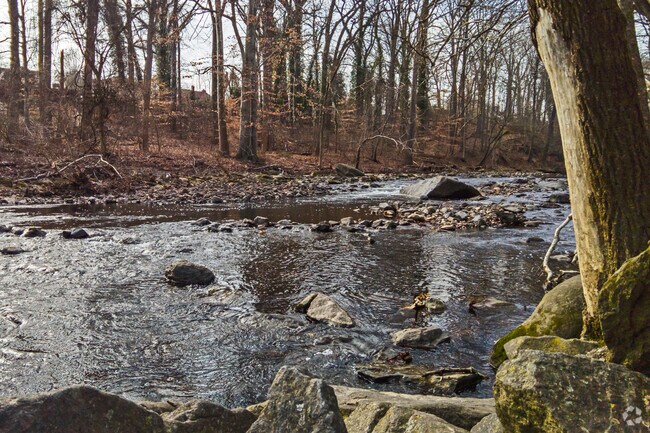Visitors can fish for rainbow trout in the Anacostia River's northwest branch.