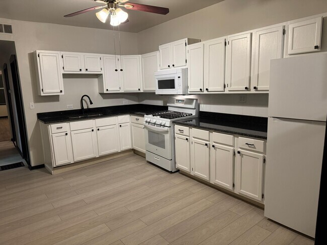 2132 S Harding Ave unit Basement, Chicago, IL 60623 - photo 2