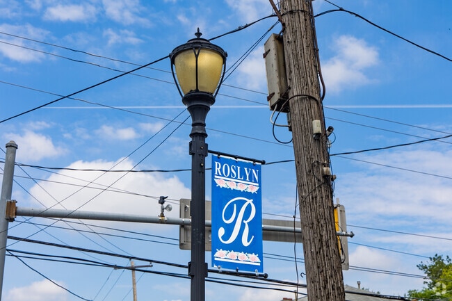 Roslyn marks its city streets with banners, showing city pride.