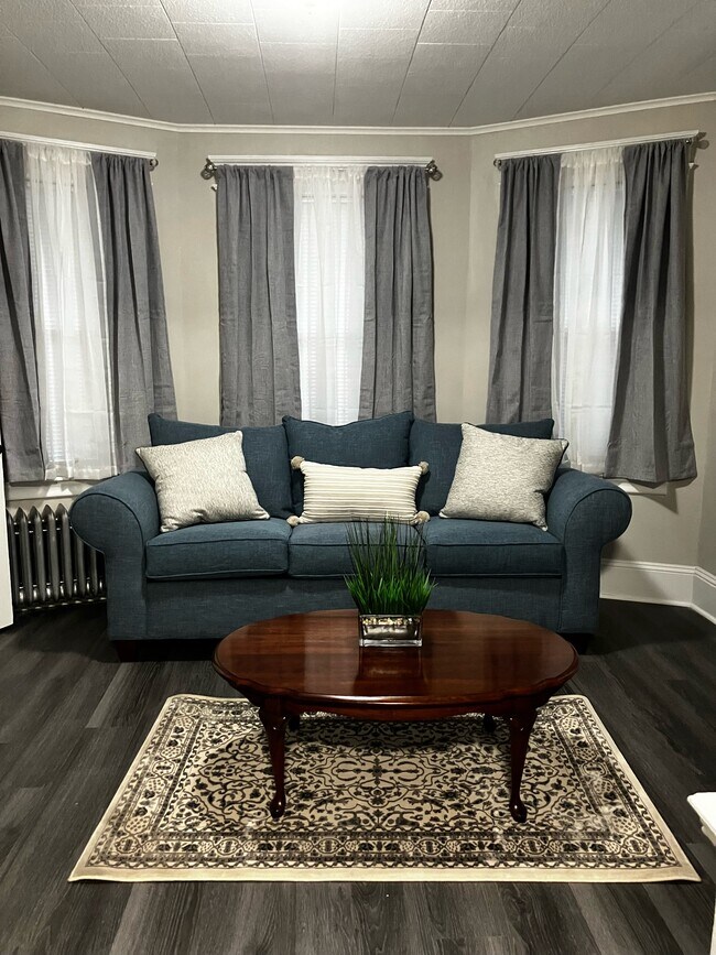 46 Mooreland St unit 46, Springfield, MA 01104 - photo 3