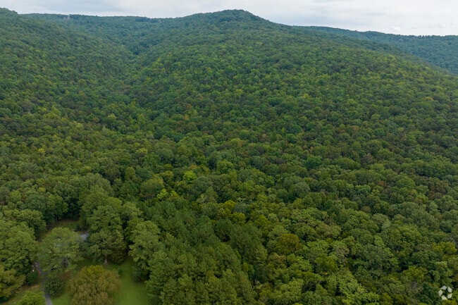 There is an abundance of nature and nature preserves in Owen Cross Roads.