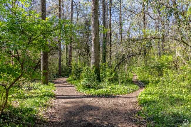 A Split in the Serene Trails at Hidden Cove Park in Chelsea Heights