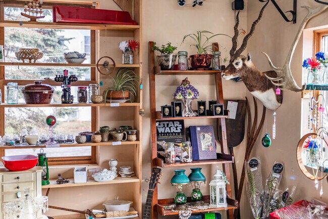 Check out Ollie's Treasure shop in Hillsboro for that perfect rare find.