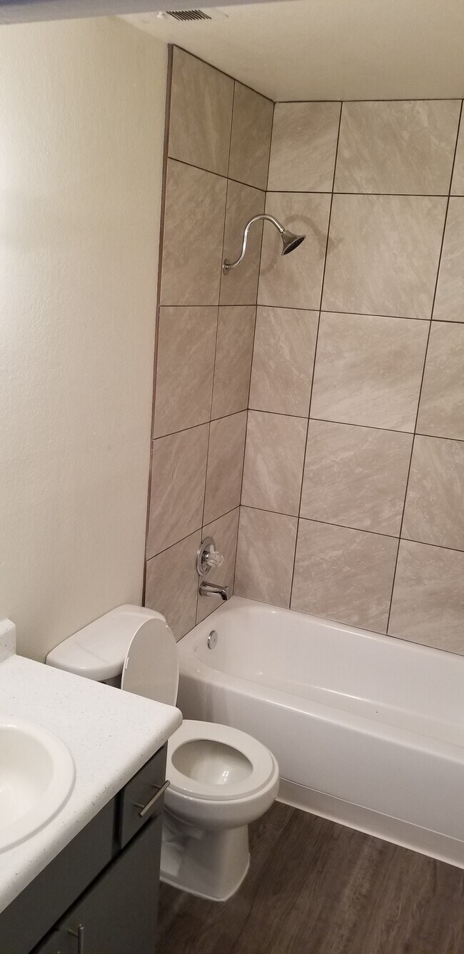 The Grove, Tucson, AZ 85705 - photo 5