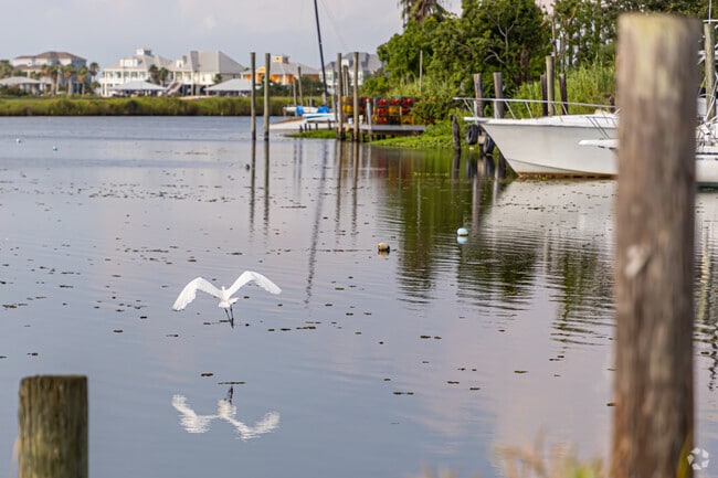 Slidell is a bird sanctuary on the Northshore of Lake Pontchartrain.