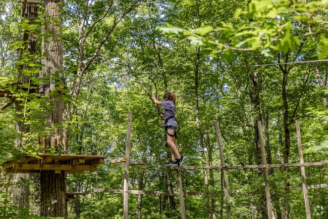 The Adventure Park offers many challenges for all skill levels.
