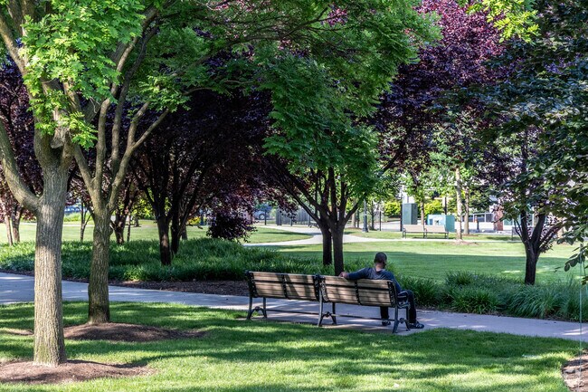 Veterans Memorial Park offers shaded benches for relaxing in University Heights.