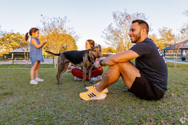 Families love the dog park at Barber Park in Conway.