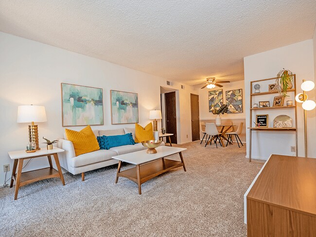 Large Open Floor Plans