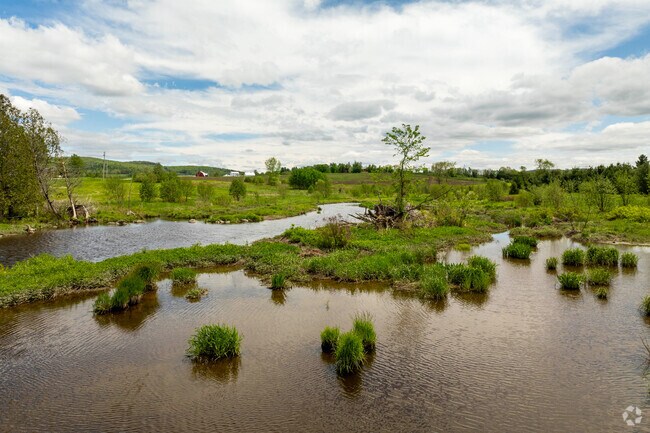 Newport Town is home to numerous swamps and watersheds, supporting rich wildlife habitats.