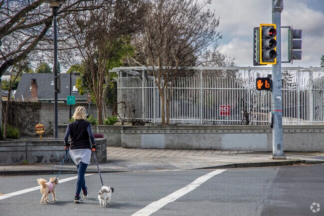 Glenbrook Heights is full of small urban parks that follow the BART rail.