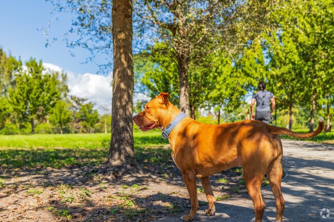 Chapman Field Park near King's Bay/Deering Bay has a gorgeous dog park for your dogs.