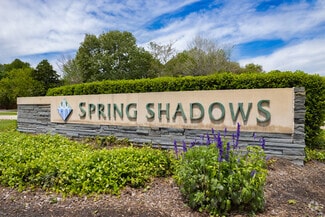 Spring Shadows