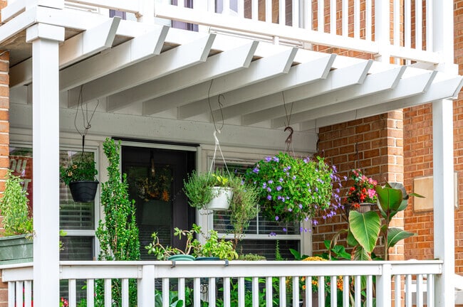 A Buena Vista porch full of plants.