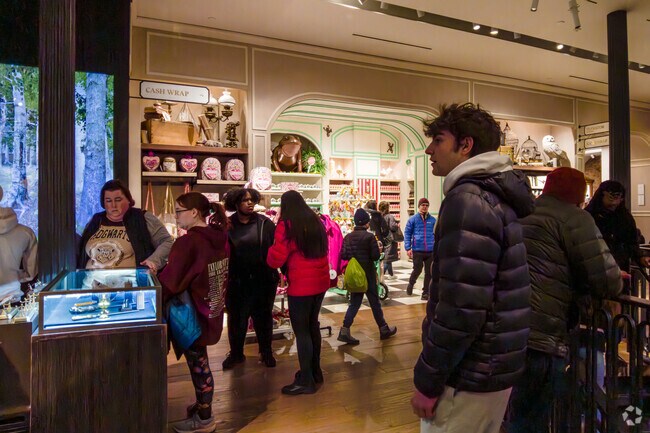 Hogwarts fans from all over come to Harry Potter New York in Flatiron District.