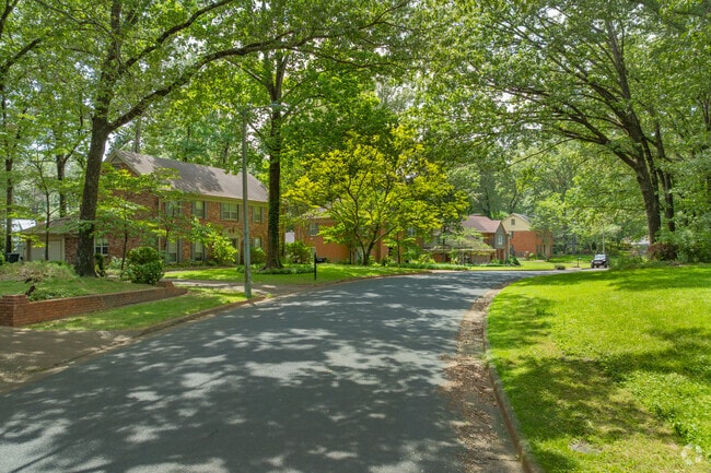 Mature trees provide a full canopy all throughout the Kirby Woods neighborhood.