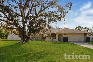 4906 Keysville Ave, Spring Hill, FL 34608