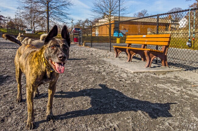 Langdon Park is popular among Langdon pet owners for its off-leash dog park.