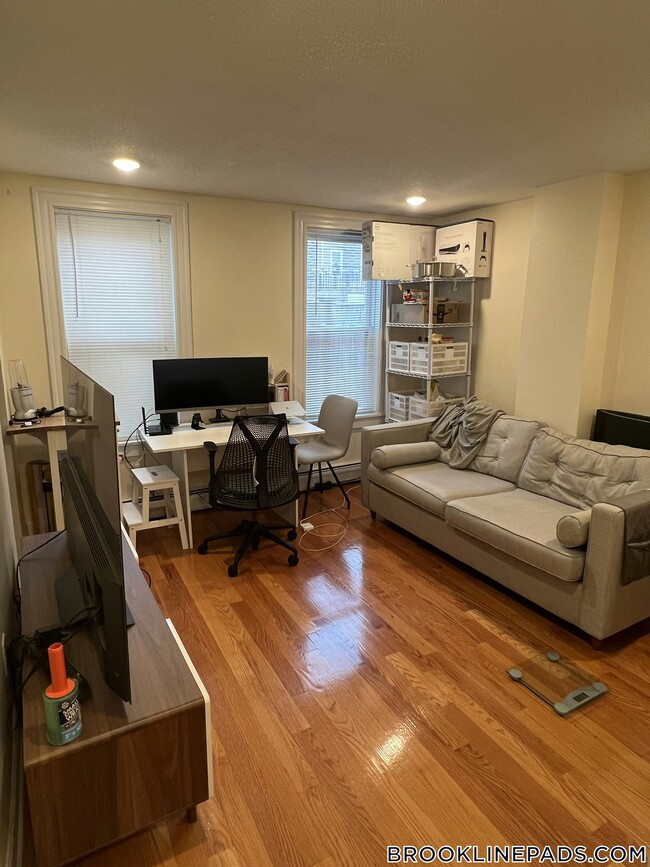 51 Cameron St Unit 1, Brookline, MA 02445