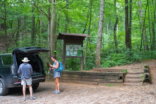 Blue Ridge, GA has plenty of trailheads to explore.