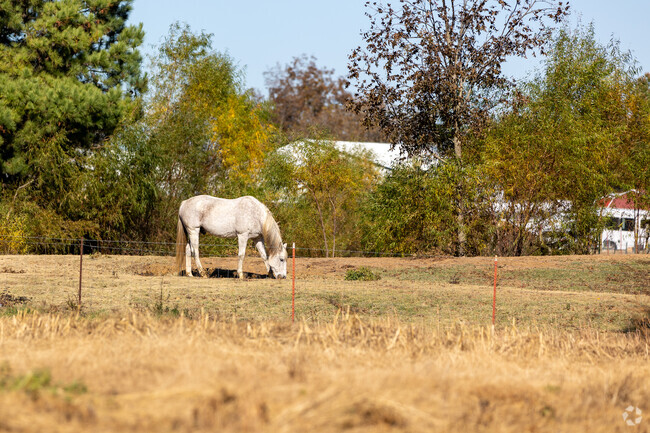 Coweta offers land for residents that keep large animals.