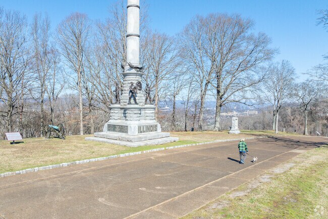 Avondale dog owners enjoy the scenery at Missionary Ridge.