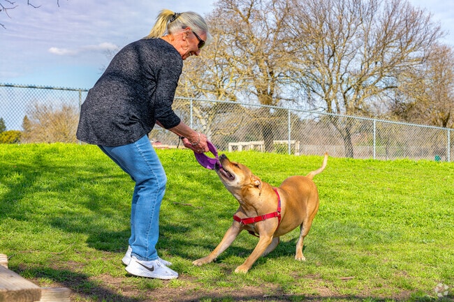 Gibson Ranch Dog Park in Antelope gives owner an outdoor space to spend time with her dog.