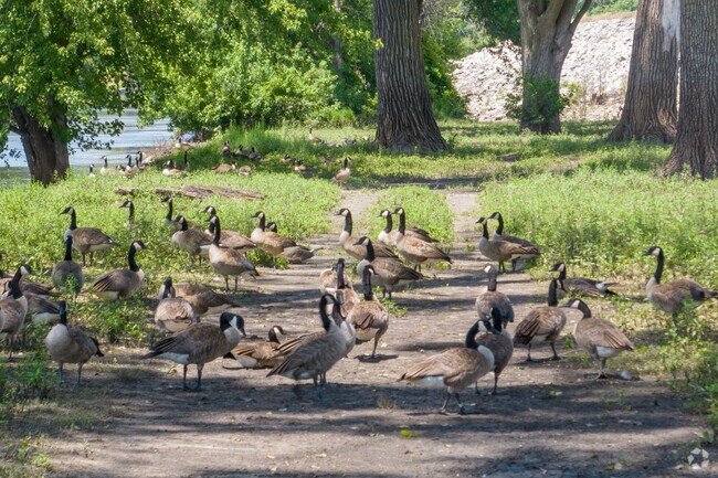Common Grounds still has plenty of wildlife around its parks and rivers.