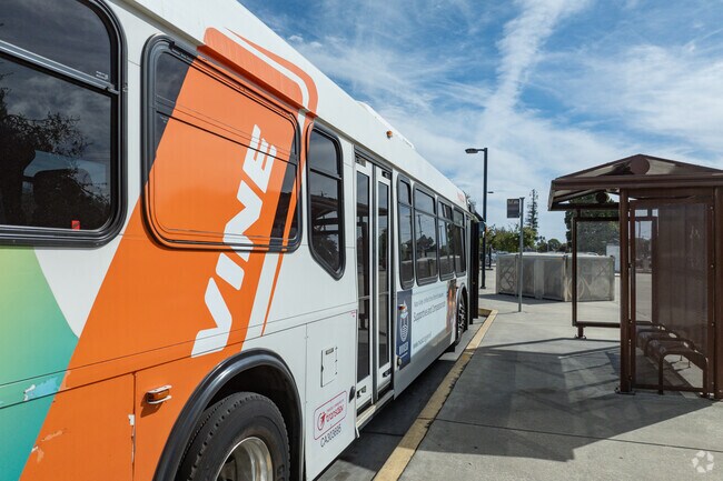 The Vine Bus is a great resource for Beard commuters.