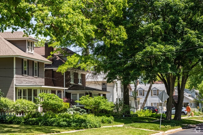 A shaded residential street in the Meadows neighborhood, with larger two-story homes.