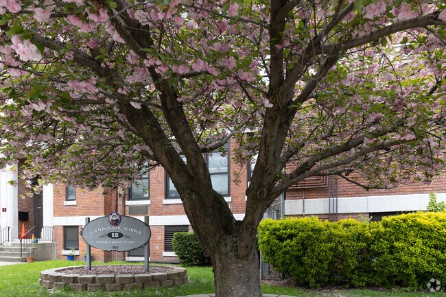A tree tree bloom in front of Clifton School #12  in the Botany District of Clifton, NJ.