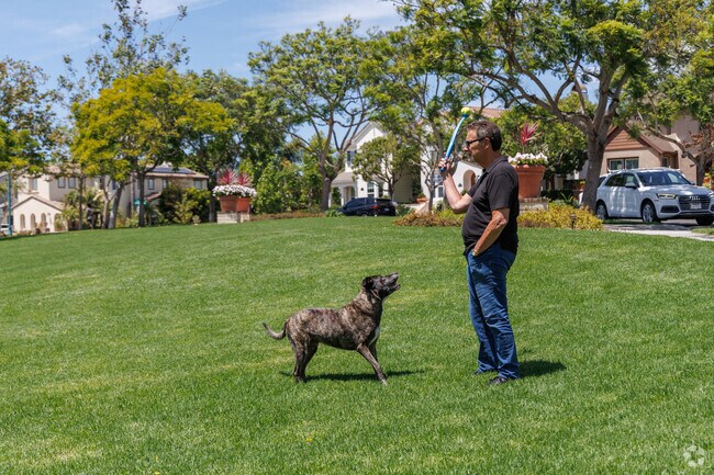 At Bressi Ranch Recreation Center in Carlsbad, the open grassy area offers space for kids, dogs, and outdoor gatherings alike.