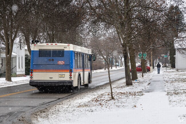 Snowy streets don't stp the residents from getting around in Forest Park.