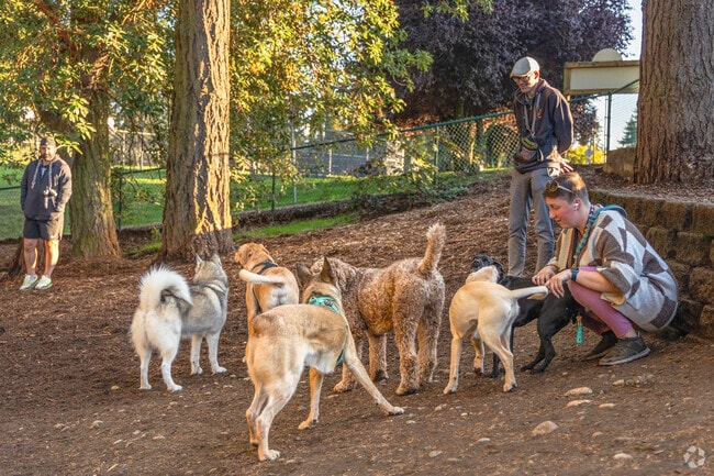 The off-leash dog park in Terrace Creek Park is a favorite for dog owners near Cascade View.