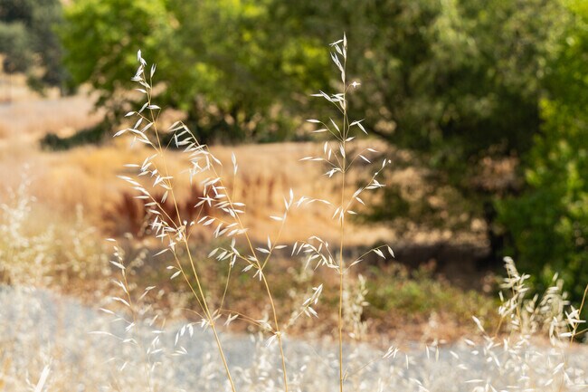 Hot summers and dry brush puts all of Redding on high alert for wildfires..jpg