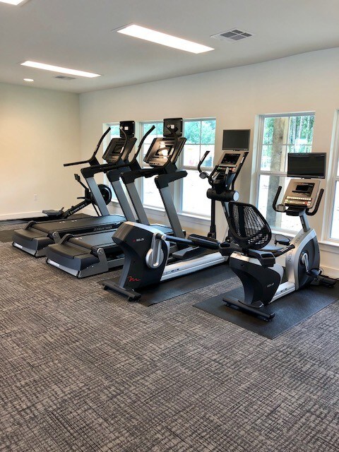 The Palms at Juban Lakes, Denham Springs, LA 70726 - photo 5