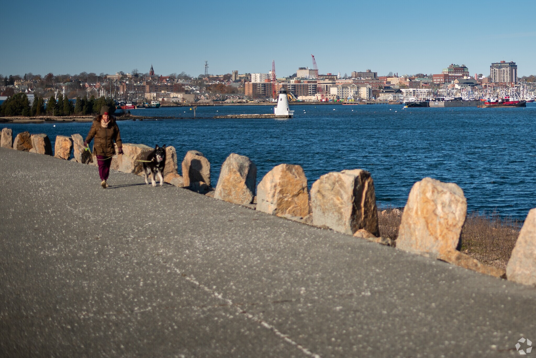 The sun casts a warm glow on the cityscape of New Bedford as a woman enjoys her pet's walk.