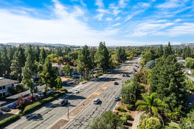 Discover charming spots along Ygnacio Valley Road that invite exploration.