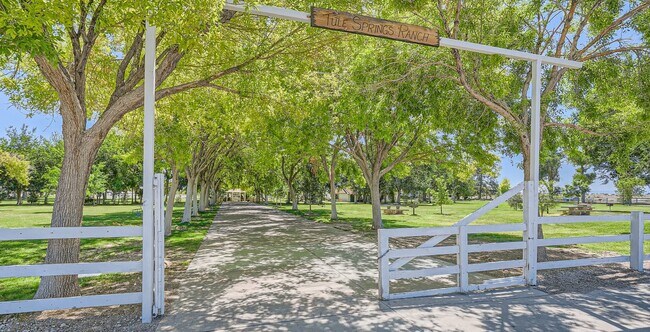 Las Vegas Floyd Lamb Park Photoshoot 2of2