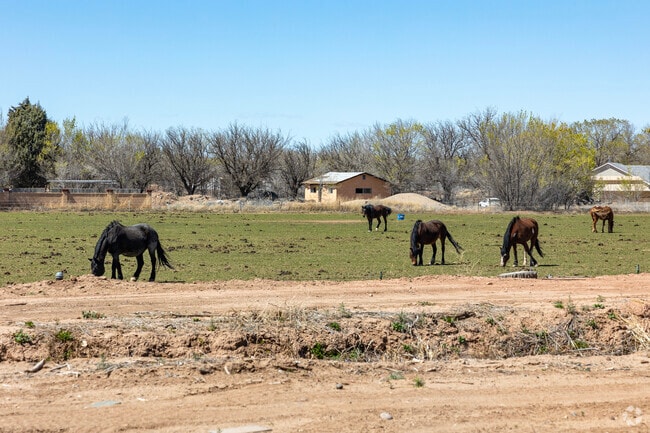 You'll find many farm animals in the neighborhood of Las Maravillas.