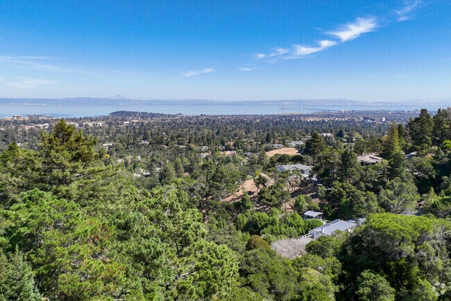 Carolands neighborhood is filled with beautiful trees