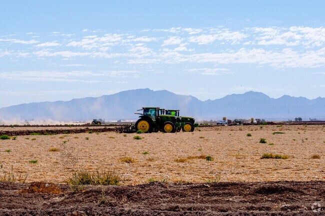 Many residents of Ripley spend their time outside farming.