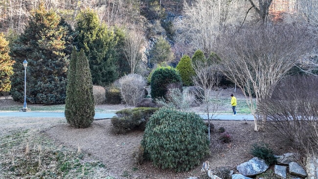 Despite the freezing cold temperatures, residents still walk at T.H. Broyhill Walking Park.