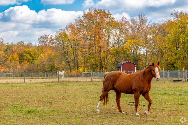Horses and other farm animals stomp the grounds of Elk Township.