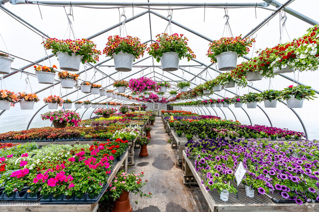 Green house with new flowers at C.N. Smith Farm in Black Brook.