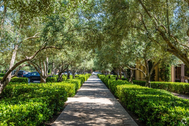Laguna Altura has many pathways that are covered in trees.