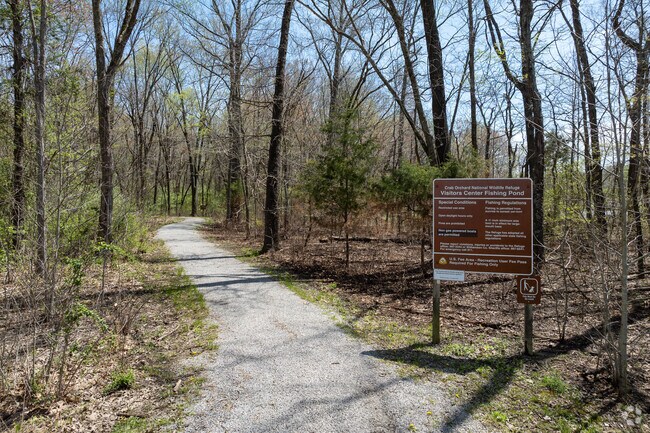 Autumn hues adorn the winding trails of Crab Orchard's lush forests.