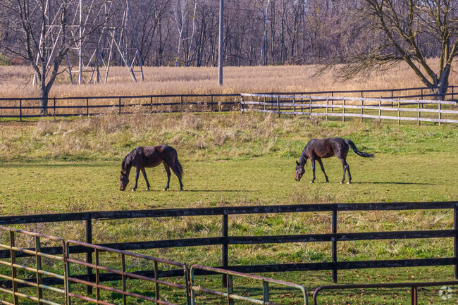 Horses graze in open fields in the Canton Outskirts community.