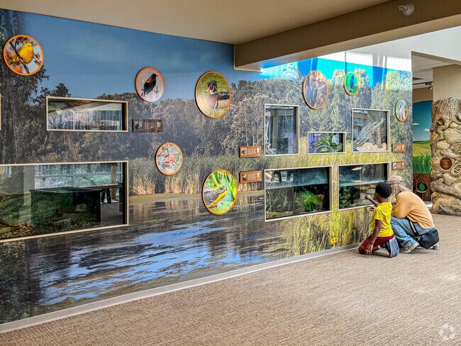 Get up-close and personal with nature at the Springbrook Interpretive Center.